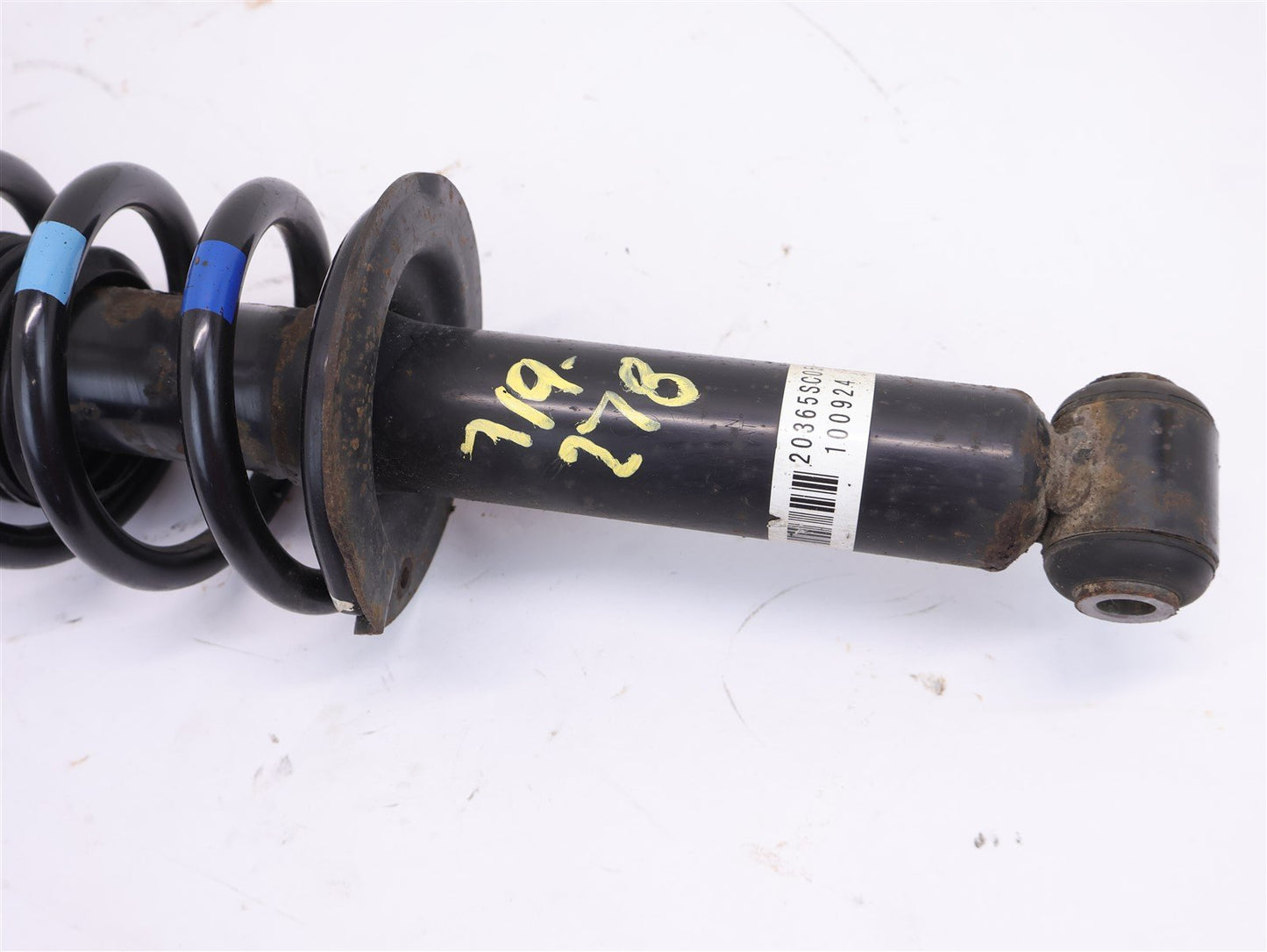 2009-2013 Subaru Forester Rear Strut Assembly Spring 20365SC050 LH or RH OEM