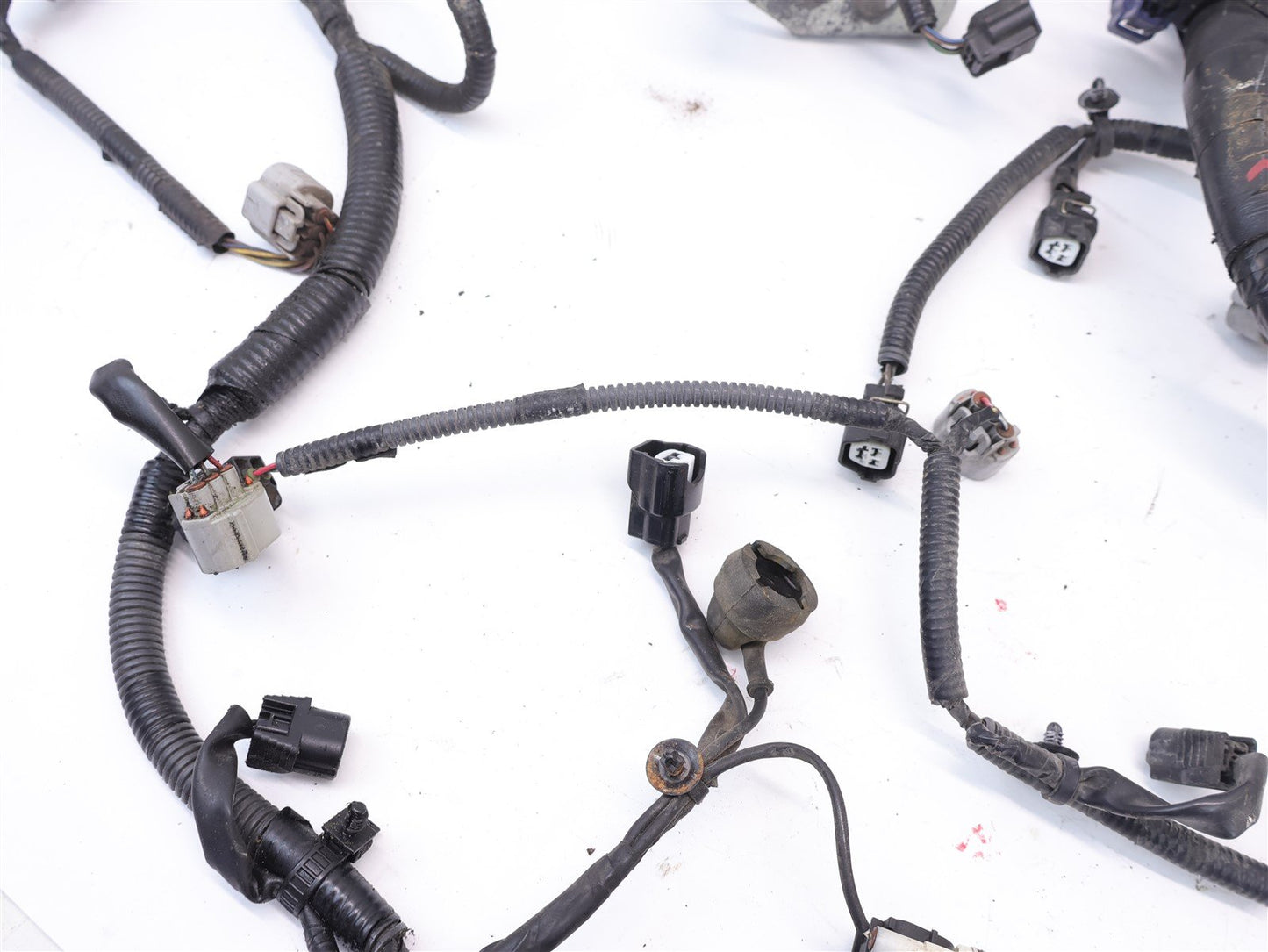 2015-2016 Subaru WRX Engine Wiring Harness 2.0L Intake Manifold 24020AF981