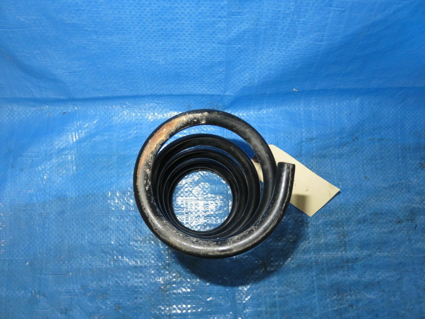 2015-2017 Subaru WRX Driver or Passenger Rear Strut Coil Spring OEM LH RH 15-17